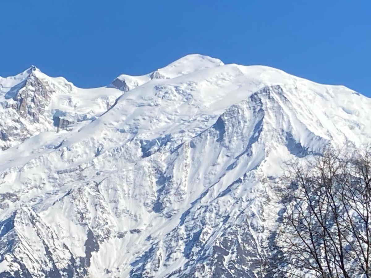 Les Edelweiss Mont-Blanc - Gite Classe 3 Etoiles Passy  Exteriör bild