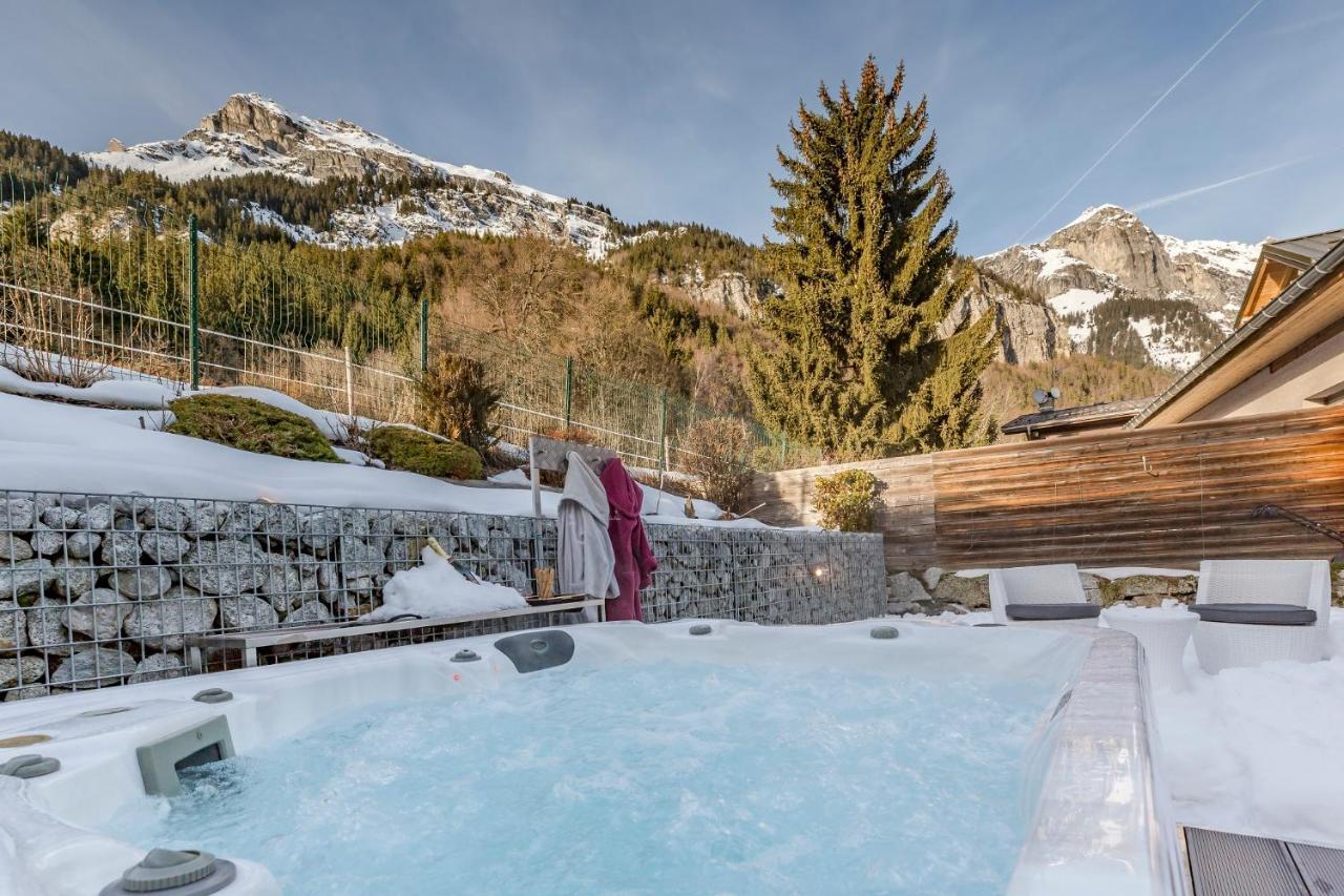 Les Edelweiss Mont-Blanc - Gite Classe 3 Etoiles Passy  Exteriör bild