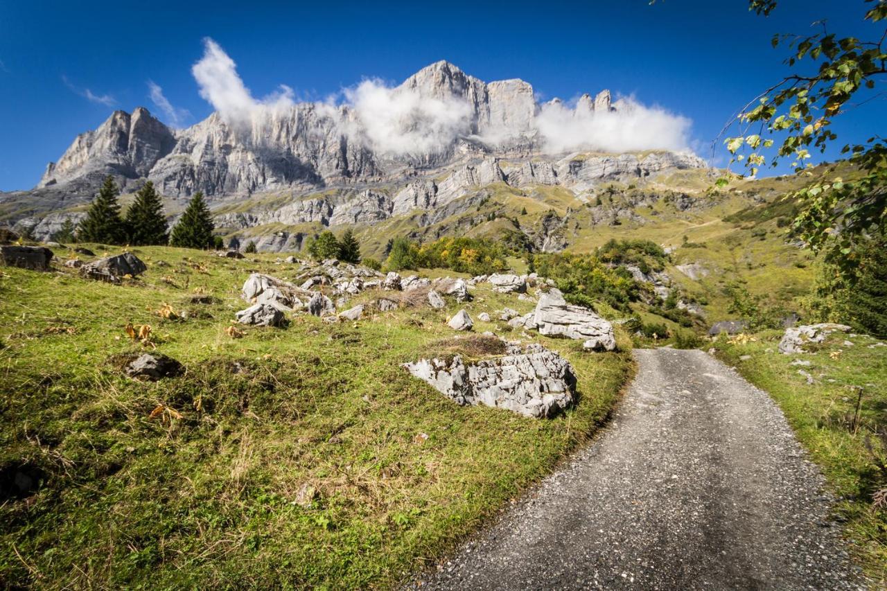 Les Edelweiss Mont-Blanc - Gite Classe 3 Etoiles Passy  Exteriör bild